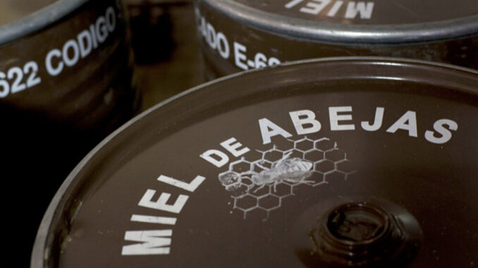 miel-abejas-tambor