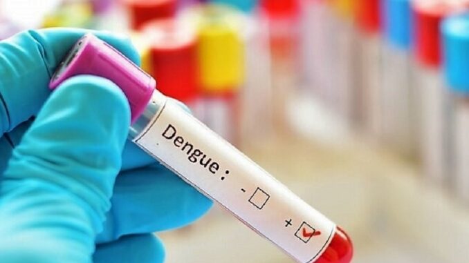 20200212101549_dengue