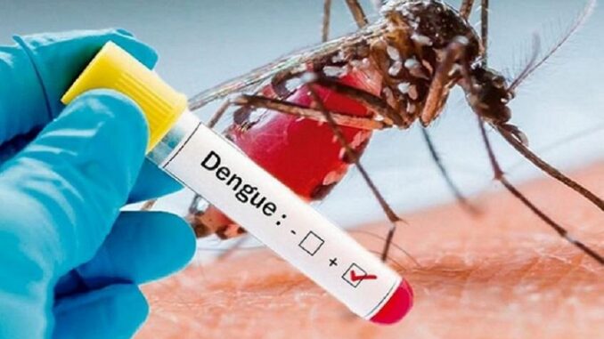 mosquito_positivo