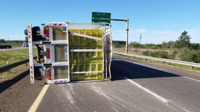 23_vuelco_camionpollos