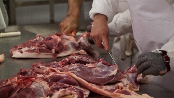 carne-para-exportar