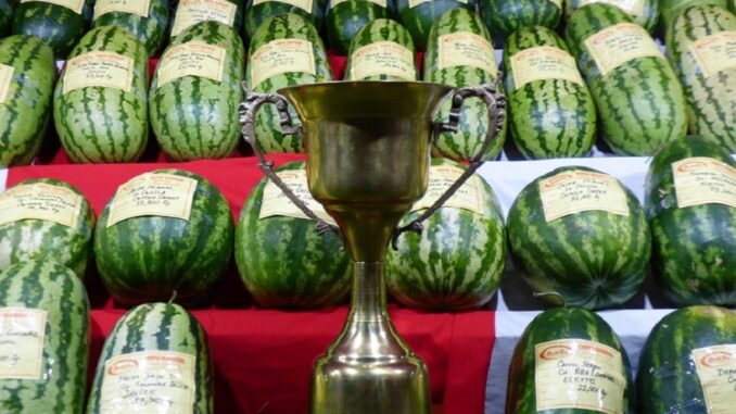 473321325_907860534851265_6921949583023878722_n