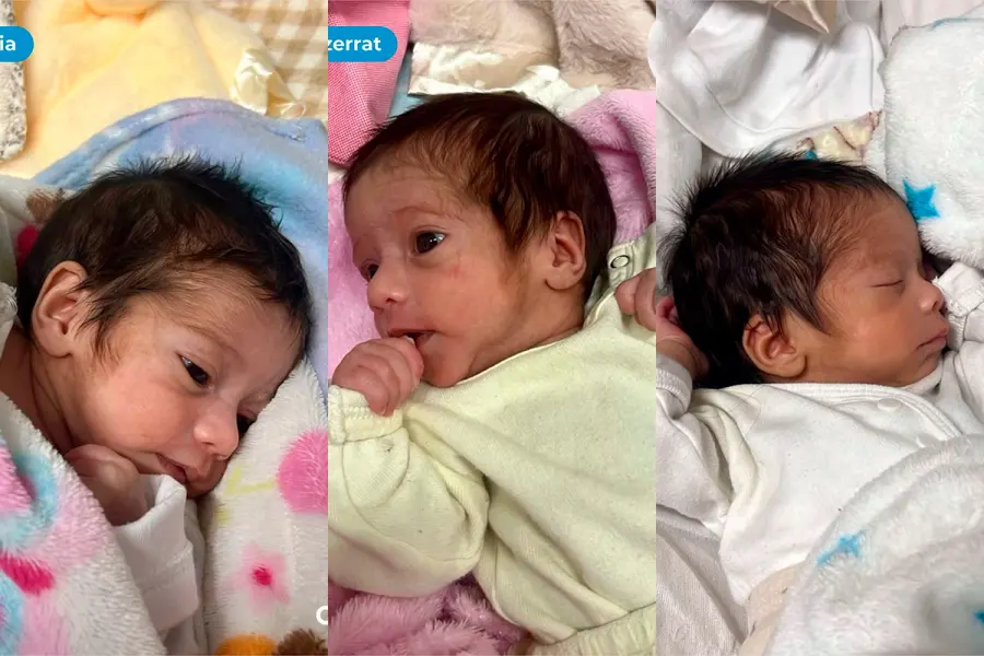 Están pronto a recibir el alta los trillizos internados en Chajarí: La mamá necesitará brazos humanitarios para criarlos