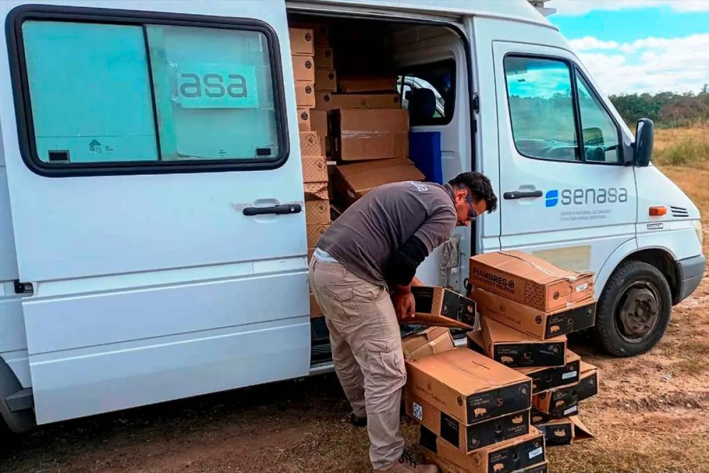 Decomisaron tres toneladas de embutidos con destino a Chajarí en un control sobre la Ruta 14