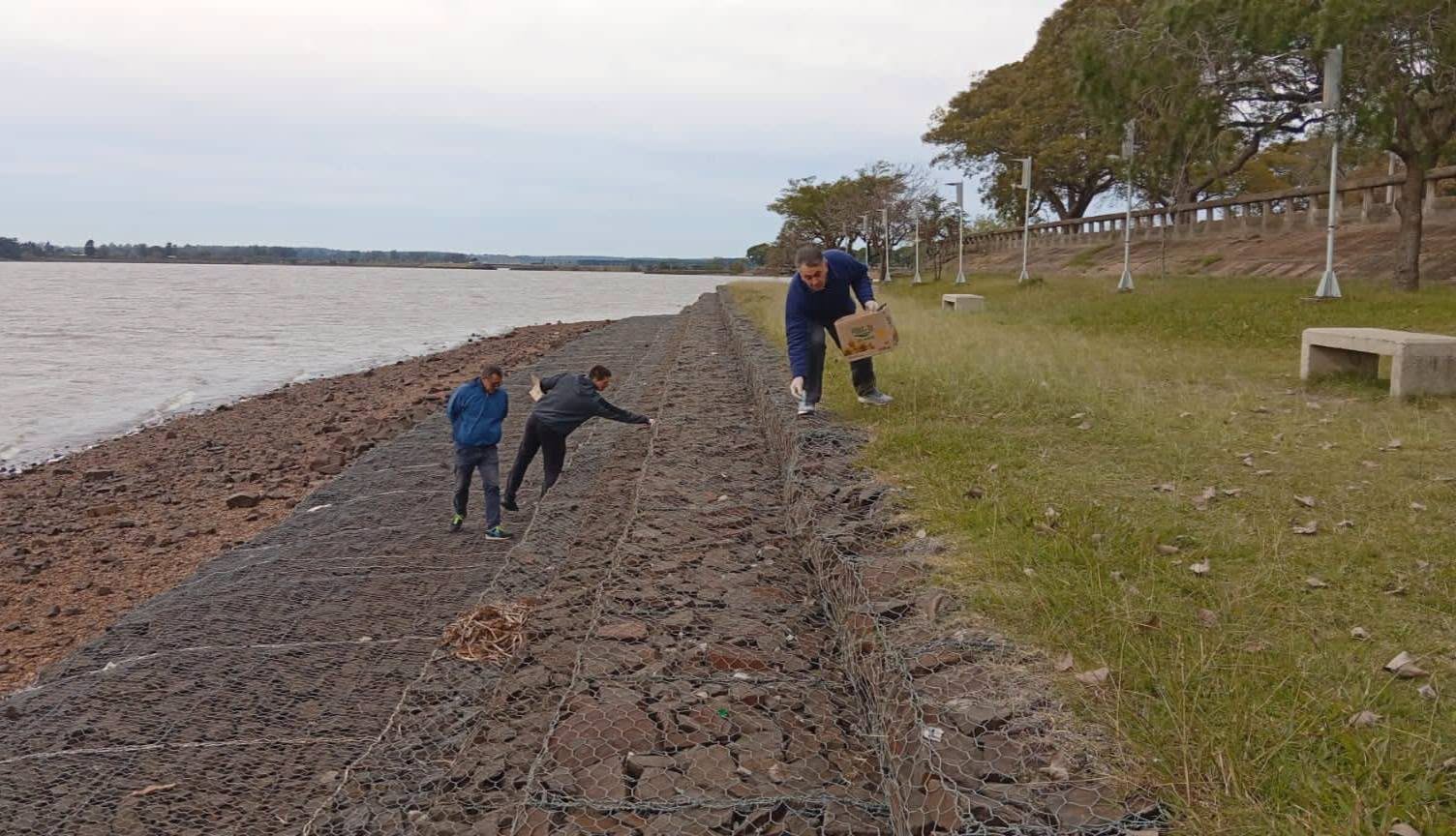 Federación: se realizaron trabajos de prevención en desratización en la costanera