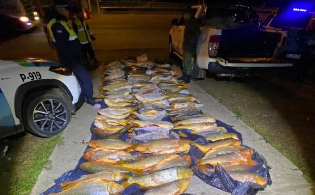 Mocoretá: secuestraron más de media tonelada de pescado y una camioneta