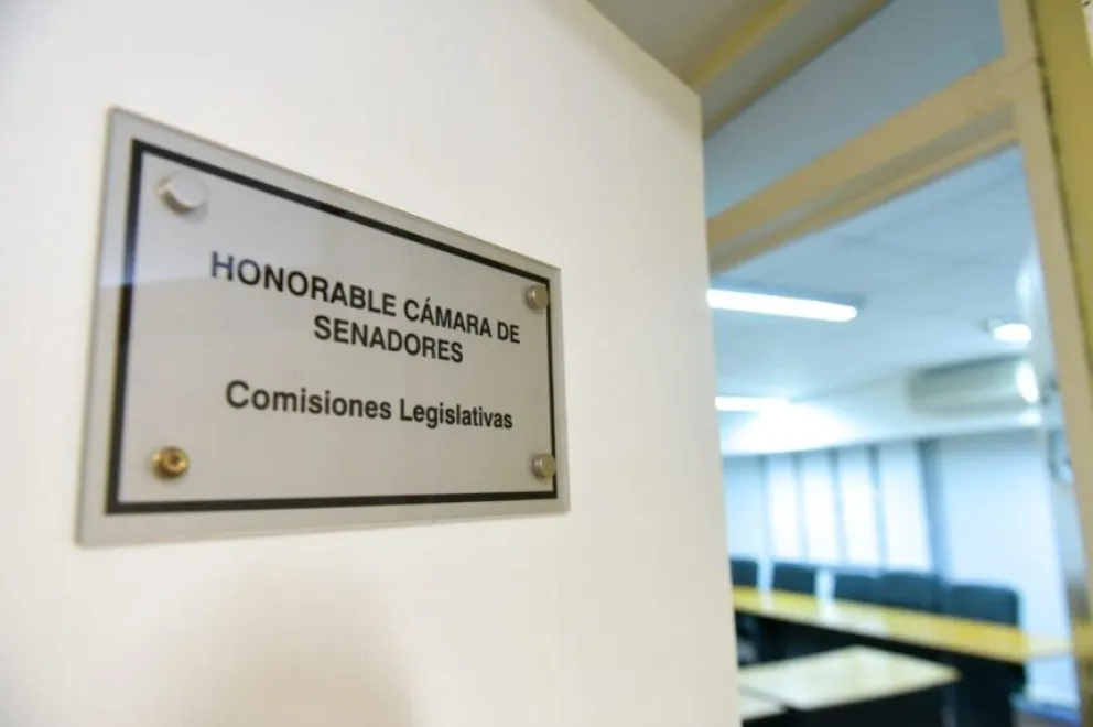 Reforma jubilatoria: Rodríguez Signes fue convocado por el Senado