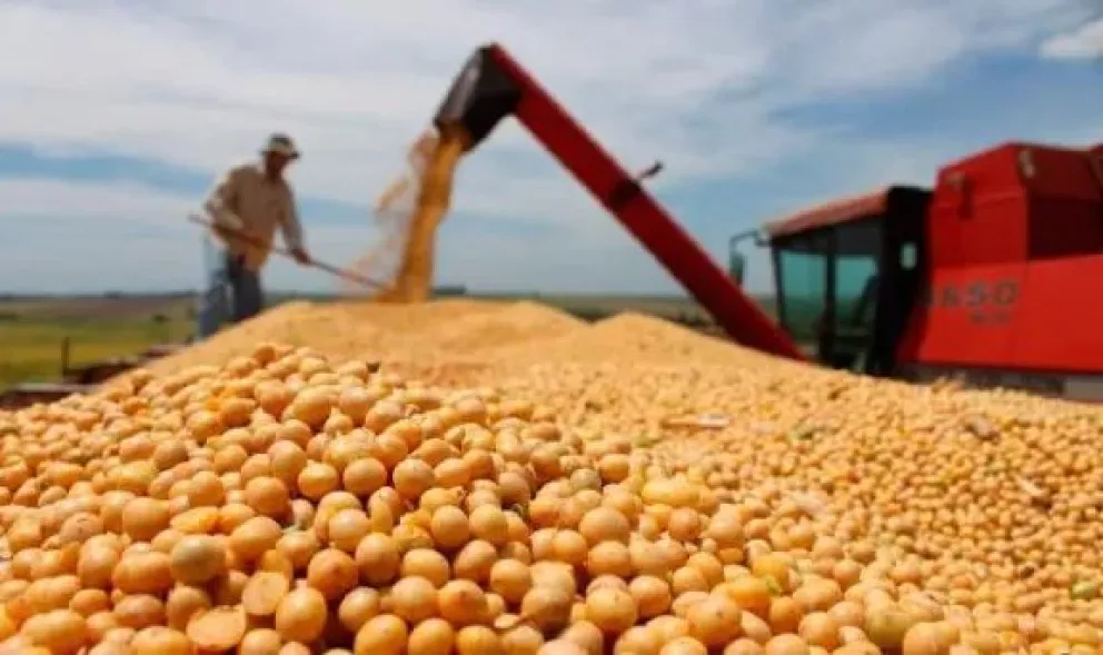 La producción de soja cayó 22% en Entre Ríos y cerró por debajo de los 2,7 millones de toneladas